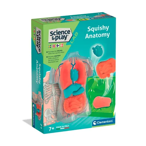 Clementoni Jouet éducatif Mini Squishy Organs